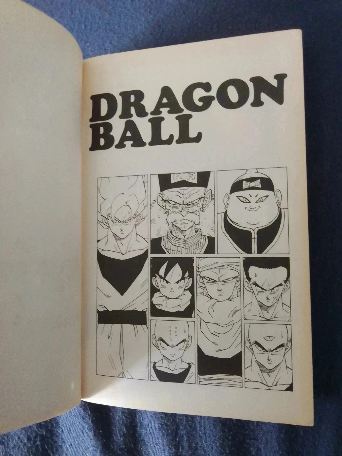 Dragon ball 29 – photo 7